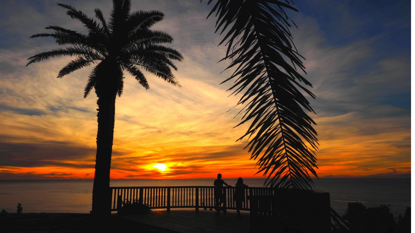 宮崎の青空と南国の食卓