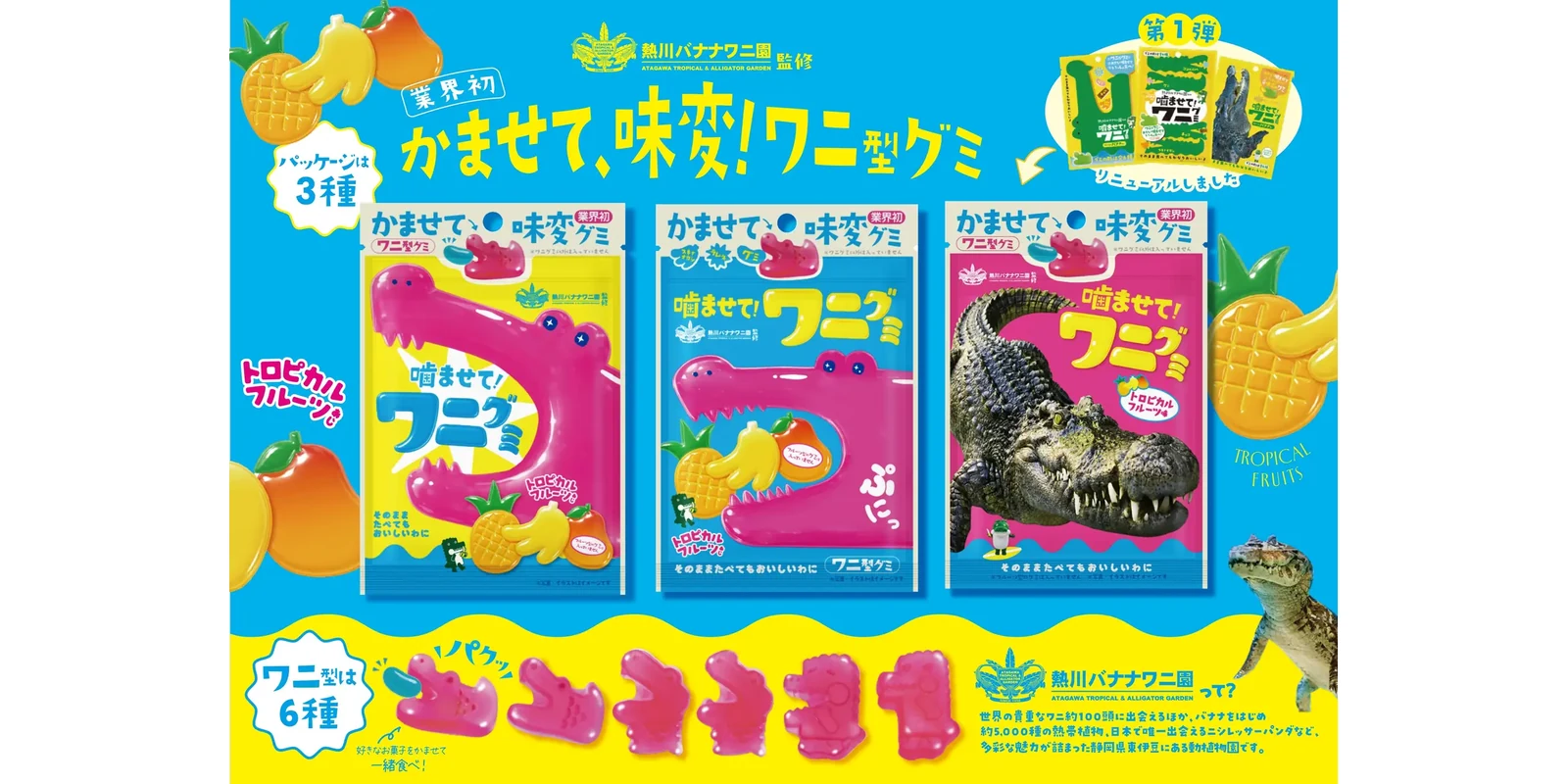 「噛ませて！ワニグミ」のパッケージとワニ型グミ